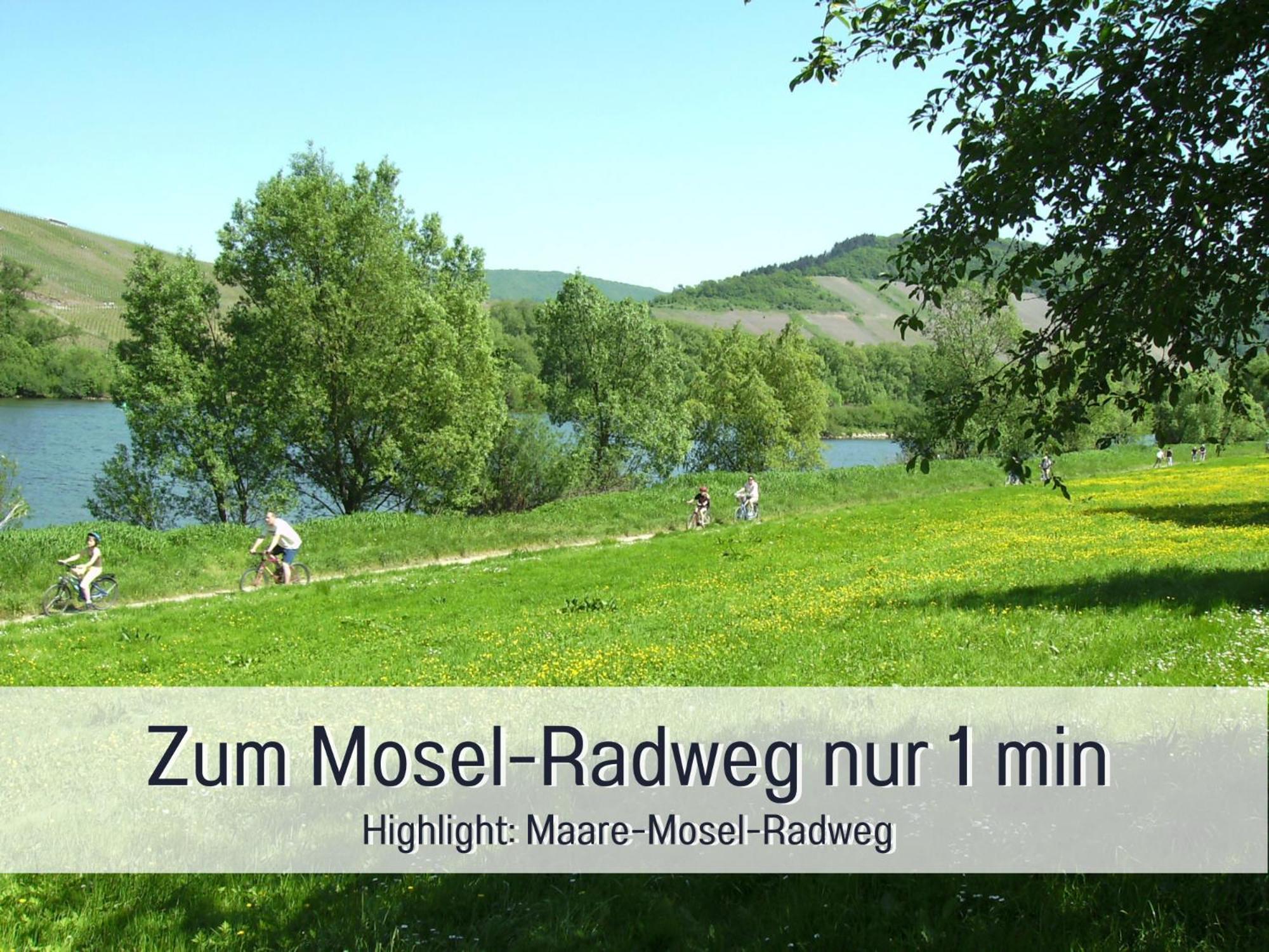 Ferienhaus Schwaab-Scherr, Genau Zwischen Bernkastel-Kues Und Traben-Trarbach, Mit Kostenlosem Oepnv-Ticket Fuer Bus Und Bahn, Parkplaetzen, Fahrradgarage Und Vielen Tipps Erden Exterior foto